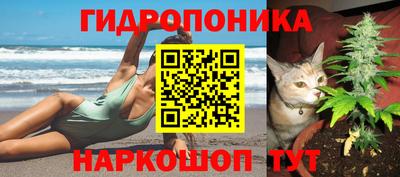 гидра Комсомольск-на-Амуре