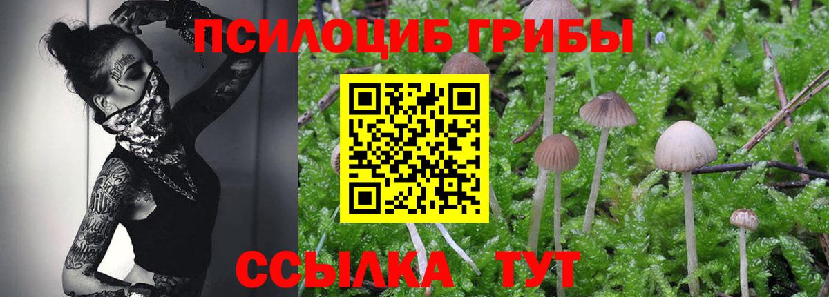 Псилоцибиновые грибы мицелий Качканар
